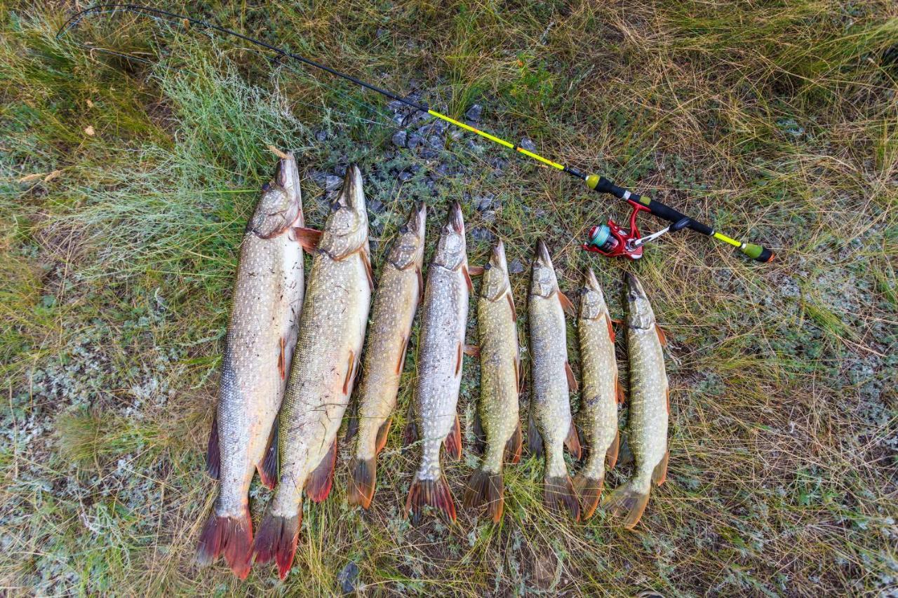 Omeo Clearlake Oaks Glenhaven Luaran gambar