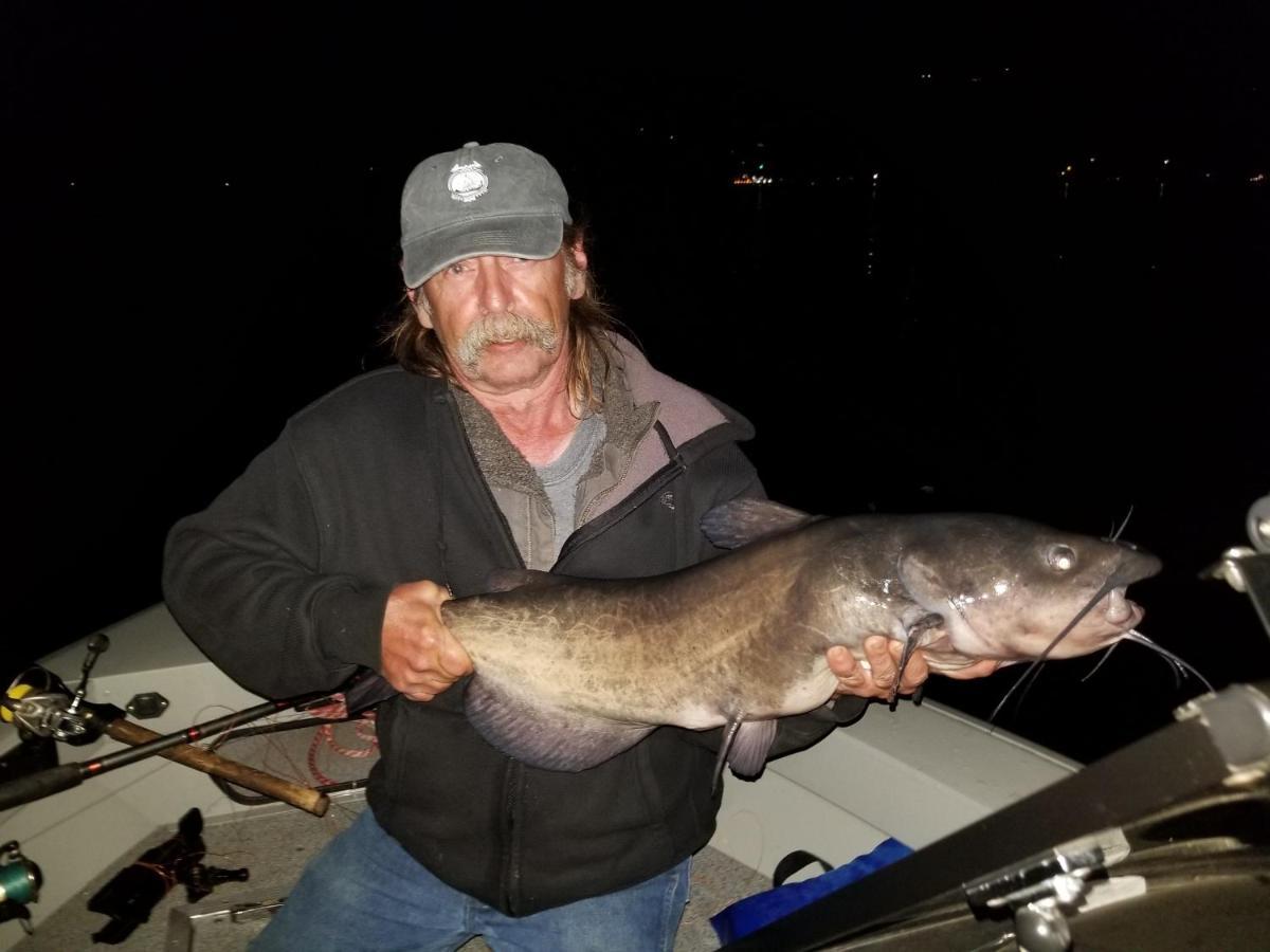Omeo Clearlake Oaks Glenhaven Luaran gambar