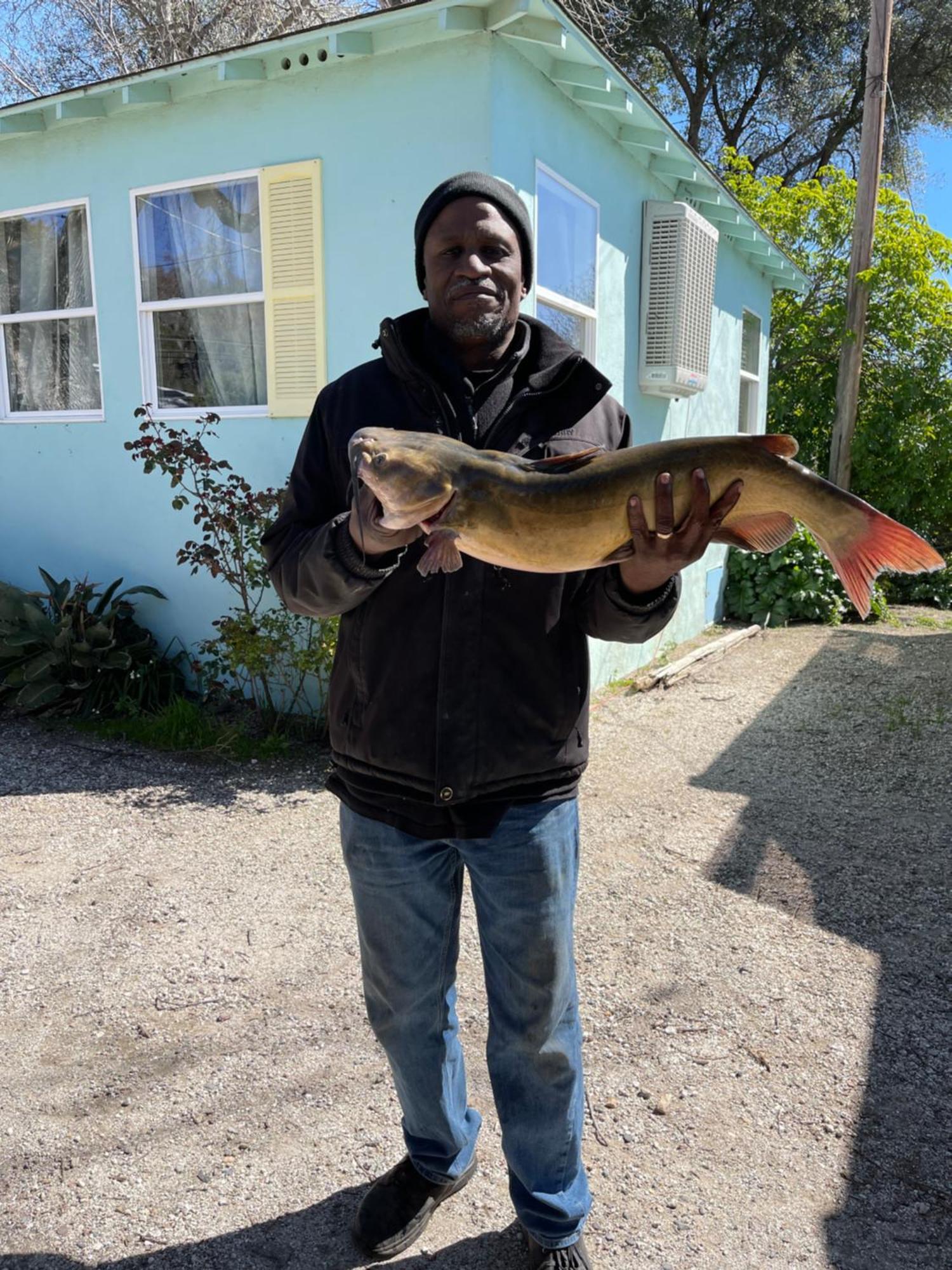 Omeo Clearlake Oaks Glenhaven Luaran gambar